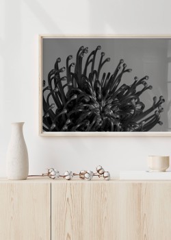 Pincushion in black & white