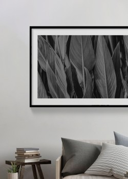 Φύλλα καπνού σε ασπρόμαυρο φόντο