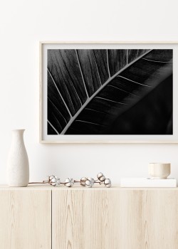 Άσπρο & Μαύρο