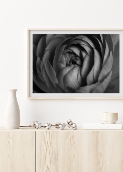 Ασπρόμαυρο Άνθος