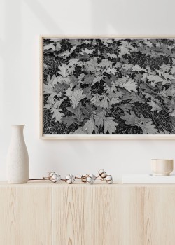 Φύλλα βελανιδιάς το φθινόπωρο