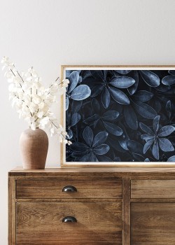 Φυλλώδες φυτό