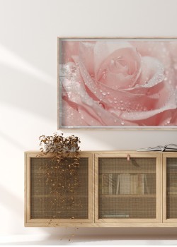 Φρέσκο Τριαντάφυλλο