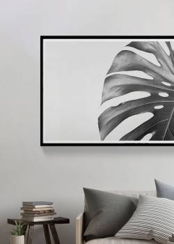 Ασπρόμαυρο φύλλο