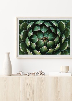 Φύλλα αγκινάρας