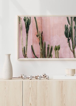 Ψηλοί κάκτοι