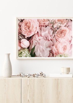 Ανθισμένα τριαντάφυλλα