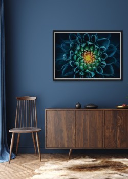 Άνθος κάκτου