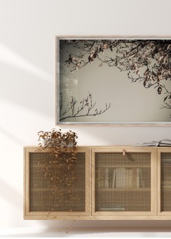 Δέντρο με ξερά φύλλα