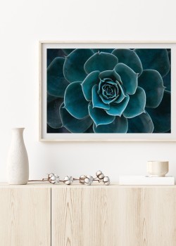 Μπλε φύλλα αγκινάρας