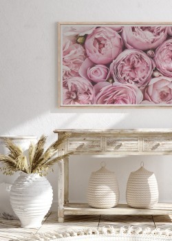 Κήπος με τριαντάφυλλα