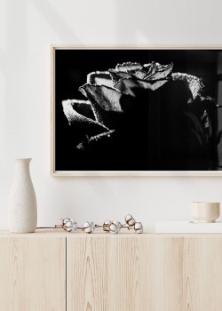 Τριαντάφυλλο