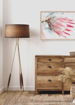 Σεληνοκηρέας