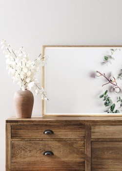 Κλαδί βαμβακόδεντρου