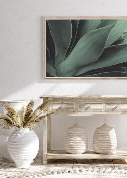 Κακτοειδή φύλλα