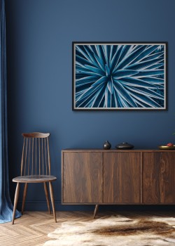 Μυτερά φύλλα