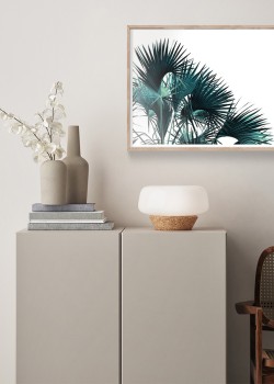 Τροπικά φύλλα