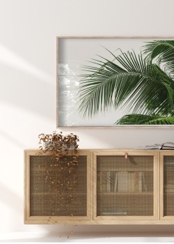 Φύλλα φοίνικα