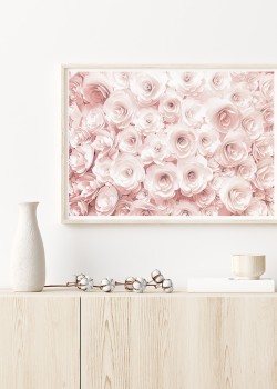 Λουλούδια Τριαντάφυλλα