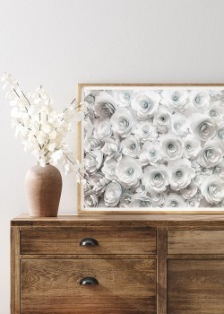 Λευκά τριαντάφυλλα