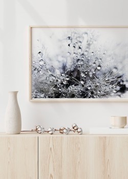 Λουλούδι με σταγόνες