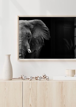 Σκοτεινός Ελέφαντας