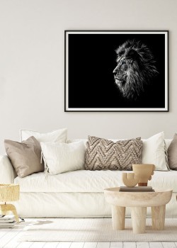 Λιοντάρι βασιλιάς