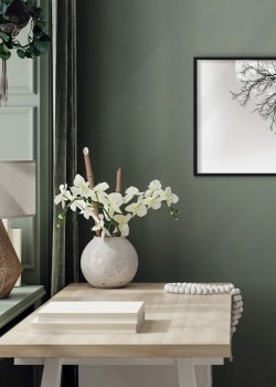 Κλαδί δέντρου