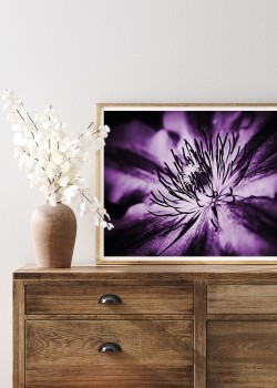 Μωβ λουλούδι