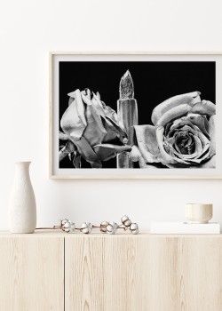 Τριαντάφυλλα σε μαύρο φόντο