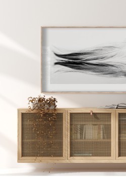 Μαύρα πούπουλα