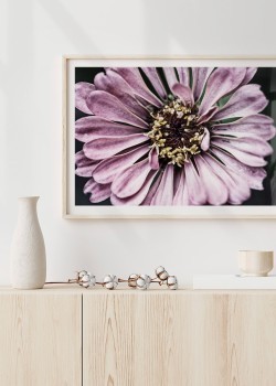 Ροζ λουλούδι