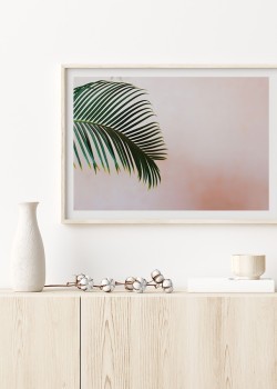 Κλαδί φοίνικα σε ροζ φόντο