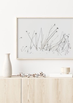 Λουλούδια σε λευκό φόντο