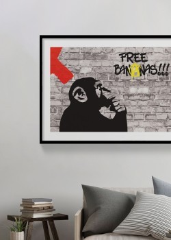 Thinker Monkey