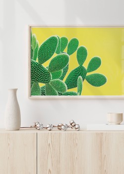 Πράσινοι κάκτοι