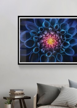 Άνθος Μπλέ Κάκτου