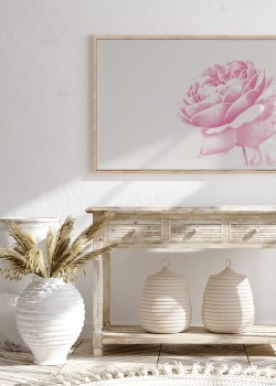 Ροζ τριαντάφυλλο