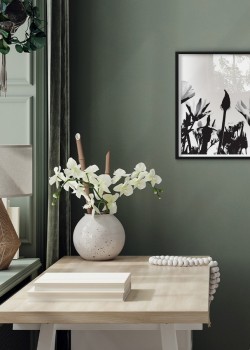 Κήπος με λουλούδια