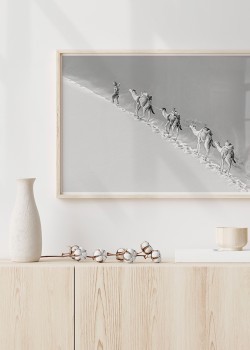 Καμήλες στην έρημο