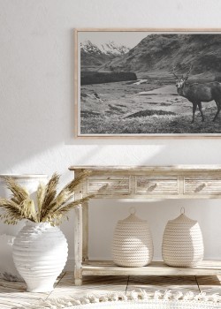 Φυσικό Τοπίο με Ελάφι