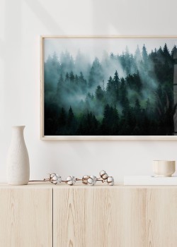 Ομίχλη στα έλατα