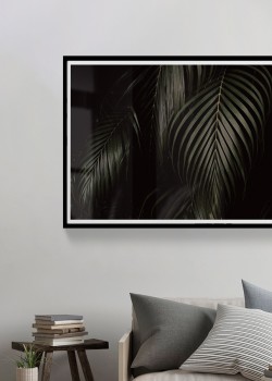 Φύλλα φοίνικα