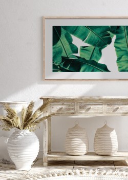 Φύλλα μπανανιάς