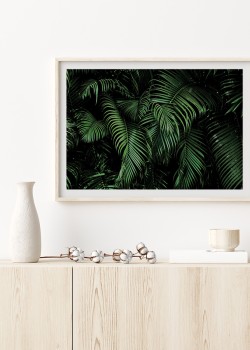 Δάσος με φοίνικες