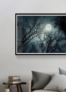 Πανσέληνος στο δάσος