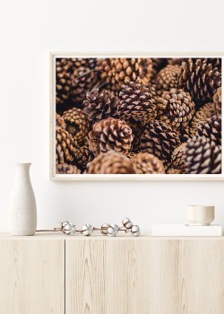 Κουκουνάρια