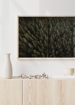 Δάσος από ψηλά