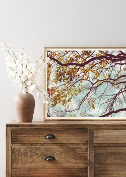 Δέντρο το φθινόπωρο