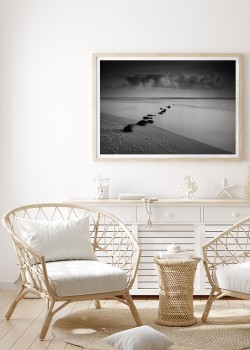 Φυτά στην λιμνοθάλασσα